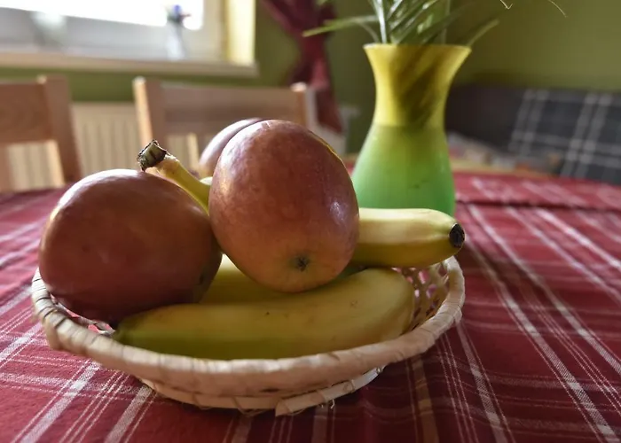 בית נופש Maralandia Trencan *